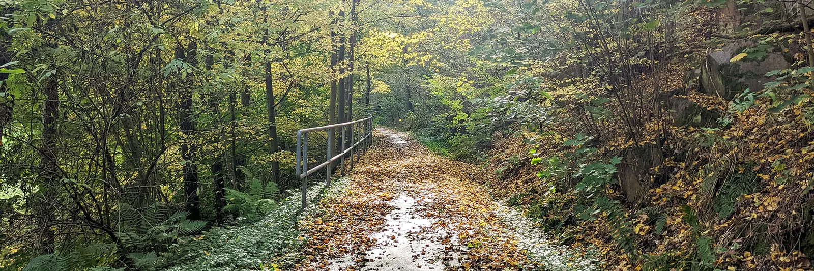 Zitat Hintergrund, Herbstlich